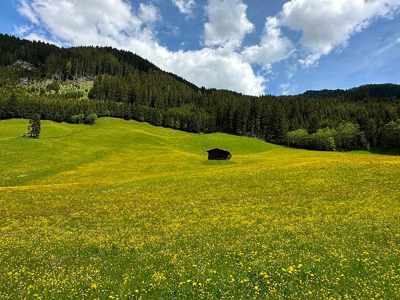 110_Austria_Zillertal.JPG