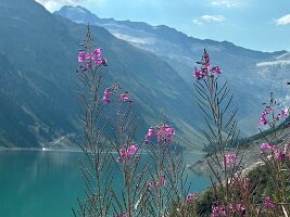 047_Austria_Zillertal_Schlegeisspeicher