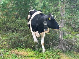 066_Austria_Zillertal_Schlegeisspeicher