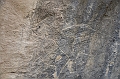 247_Azerbaijan_Qobustan_Petroglyph_Reserve