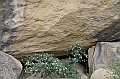 249_Azerbaijan_Qobustan_Petroglyph_Reserve