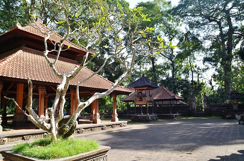 196_Bali_Ubud_Monkey_Forest.JPG