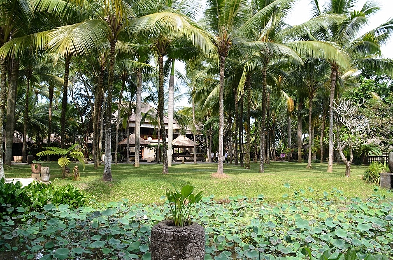 250_Bali_The_Ubud_Village_Resort.JPG