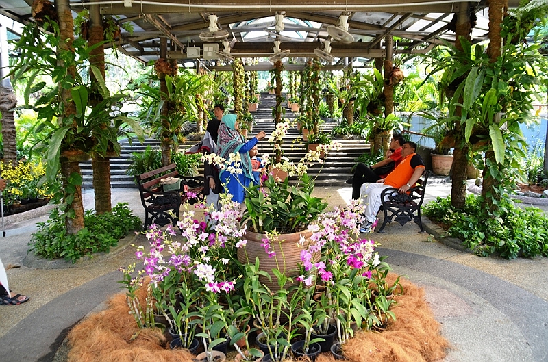 475_Kuala_Lumpur_Orchid_Garden.JPG