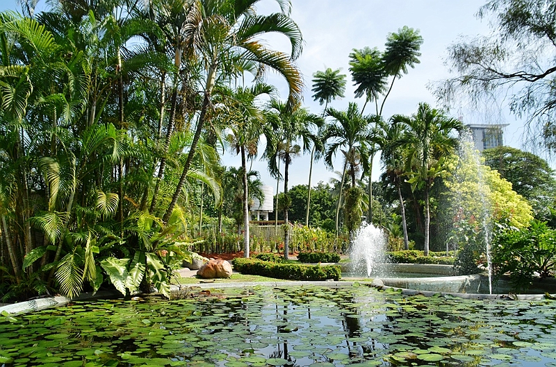 484_Kuala_Lumpur_Orchid_Garden.JPG