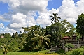110_Bali_Jatiluwih_Ricefields