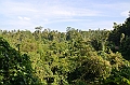 193_Bali_Ubud_Monkey_Forest