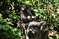 198_Bali_Ubud_Monkey_Forest