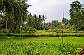 242_Bali_The_Ubud_Village_Resort
