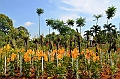 480_Kuala_Lumpur_Orchid_Garden