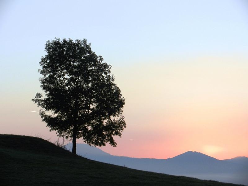 2013_02_Hochstaufen_Photo_01.JPG - 