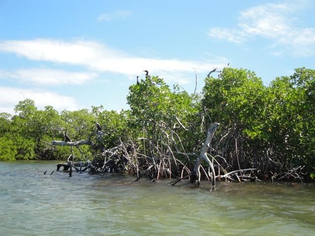 356_Belize_Caye_Caulker.JPG