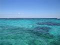350_Belize_Reef