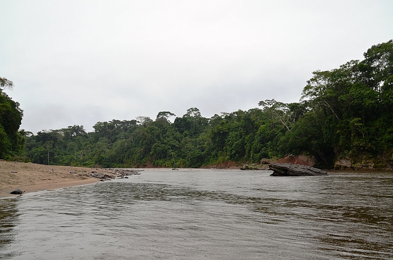 263_Ecuador_Amazonas_Aera_Napo_River_Tour.JPG