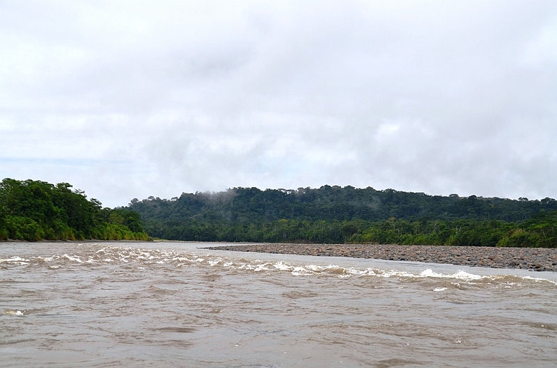 266_Ecuador_Amazonas_Aera_Napo_River_Tour.JPG