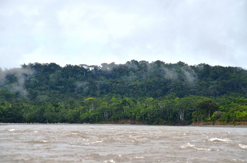 267_Ecuador_Amazonas_Aera_Napo_River_Tour.JPG