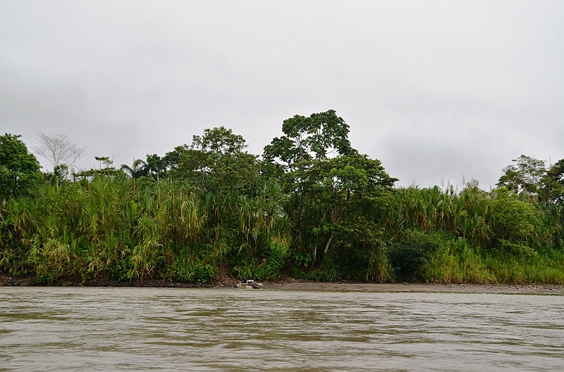 268_Ecuador_Amazonas_Aera_Napo_River_Tour.JPG