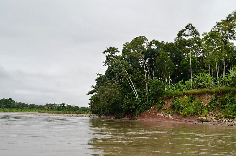 269_Ecuador_Amazonas_Aera_Napo_River_Tour.JPG