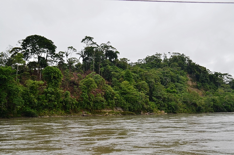 272_Ecuador_Amazonas_Aera_Napo_River_Tour.JPG