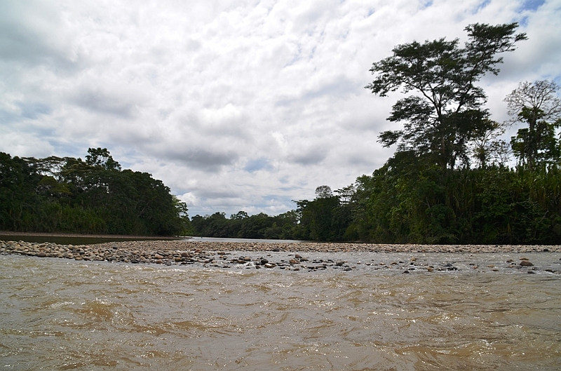 300_Ecuador_Amazonas_Aera_Napo_River_Tour.JPG