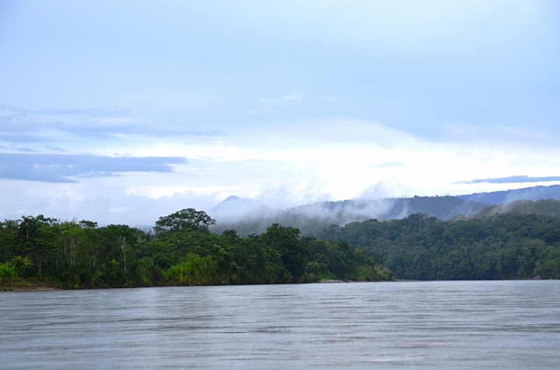 321_Ecuador_Amazonas_Aera_Napo_River_Tour.JPG