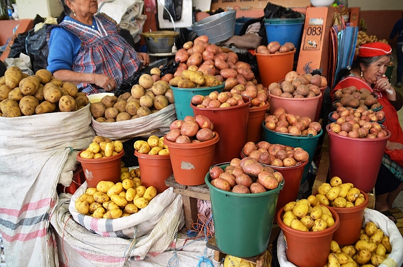 460_Ecuador_Cuenca_Market.JPG