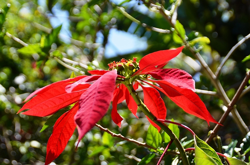 605_Ecuador_Vilcabamba.JPG