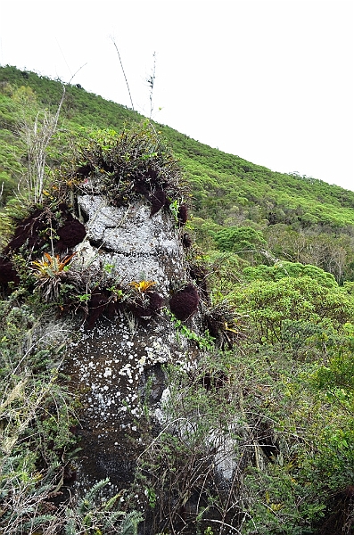 737_Ecuador_Galapagos_Island_Floreana.JPG