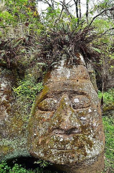 743_Ecuador_Galapagos_Island_Floreana.JPG