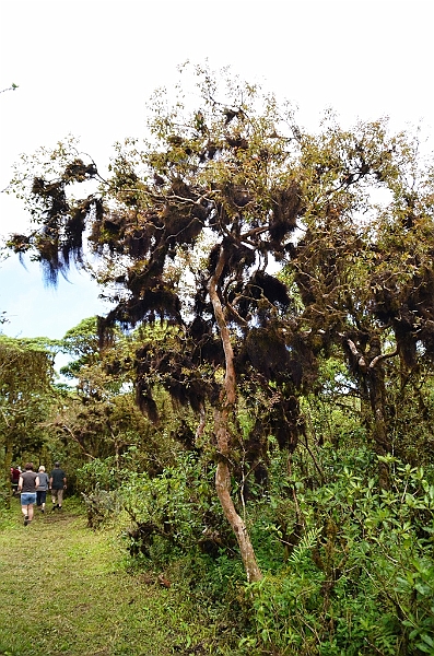805_Ecuador_Galapagos_Santa_Cruz_Los_Gemelos.JPG