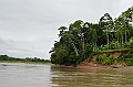 269_Ecuador_Amazonas_Aera_Napo_River_Tour