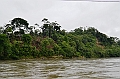 272_Ecuador_Amazonas_Aera_Napo_River_Tour