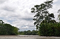 299_Ecuador_Amazonas_Aera_Napo_River_Tour