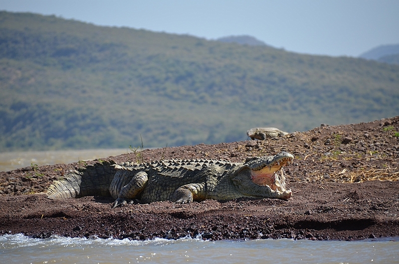 801_Ethiopia_South_Nechi_Sar_NP.JPG