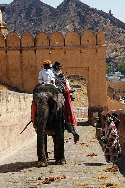 093_India_Amber_Fort.JPG