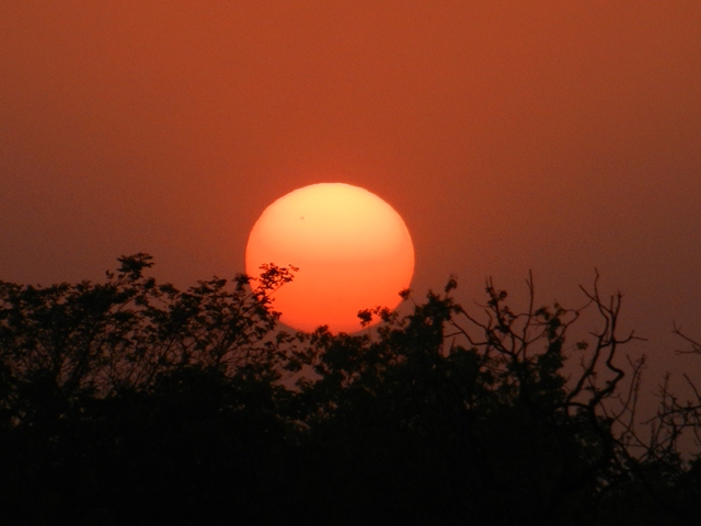 471_India_Alipura_Sunset.JPG - 