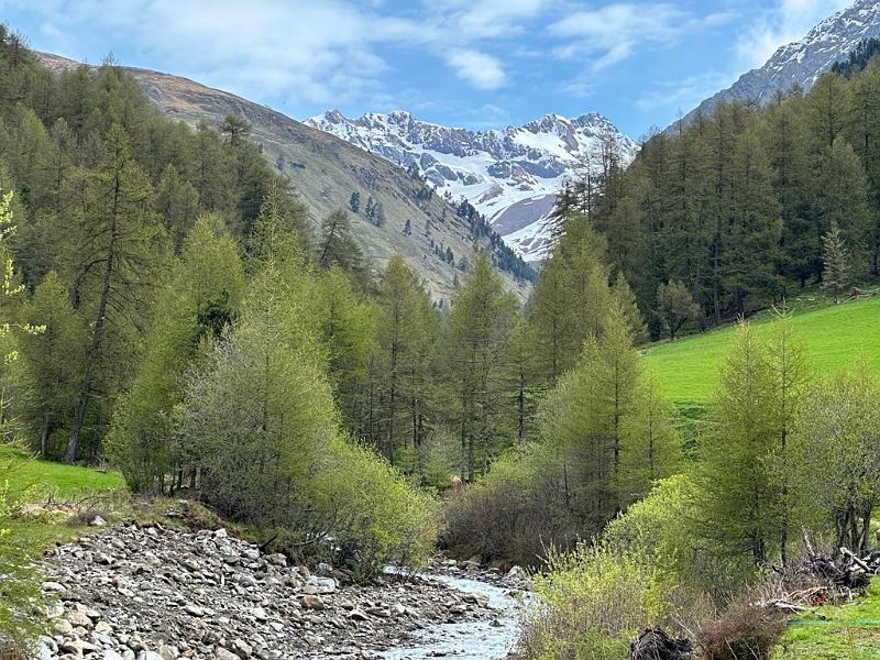 158_Italien_Suedtirol_Matscher_Tal.JPG