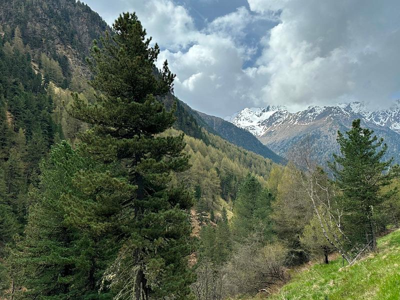 172_Italien_Suedtirol_Matscher_Tal.JPG