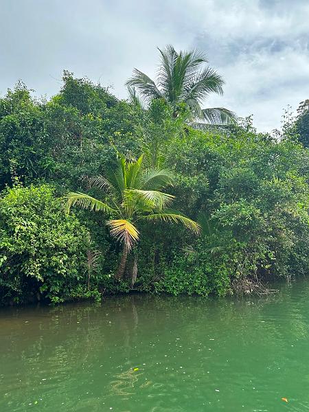 012_Panama_Rio_Chiwaldi.JPG