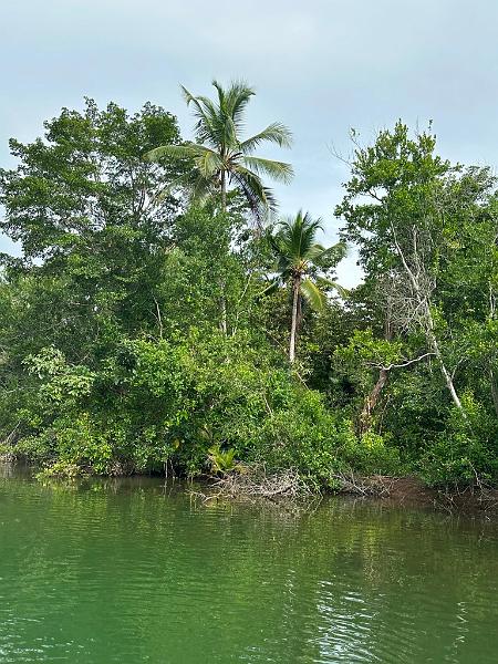 013_Panama_Rio_Chiwaldi.JPG