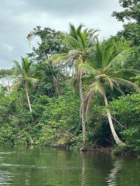 016_Panama_Rio_Chiwaldi.JPG