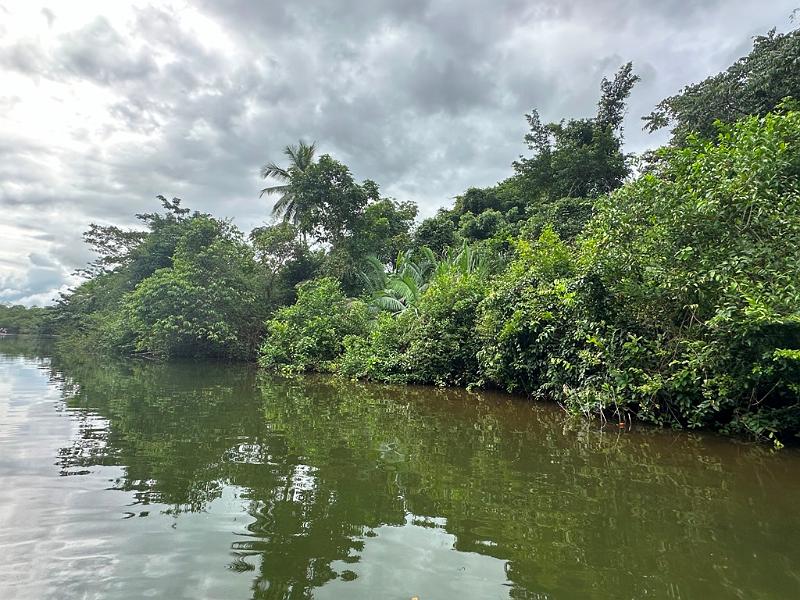 018_Panama_Rio_Chiwaldi.JPG
