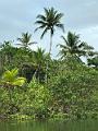 014_Panama_Rio_Chiwaldi