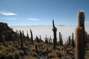 Bolivia Salar de Uyuni 2008