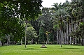 054_Mauritius_North_Sir_Seewoosagur_Ramgoolam_Botanical_Gardens04