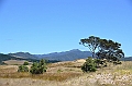 108_New_Zealand_Coromandel_Peninsula_Waikawau_Bay