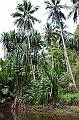 109_Papua_New_Guinea_Tufi