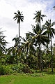255_Papua_New_Guinea_Rabaul