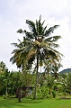262_Papua_New_Guinea_Rabaul