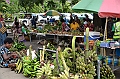 268_Papua_New_Guinea_Rabaul_Market